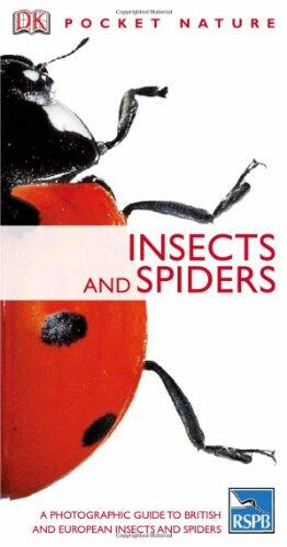 Insects
