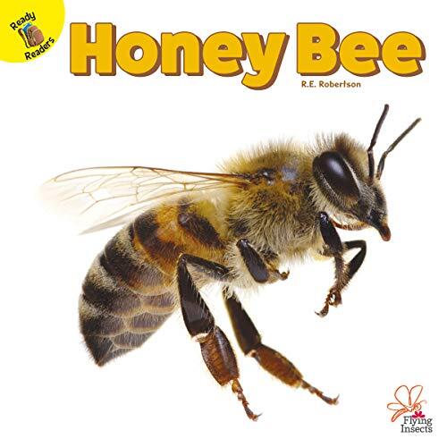 Flying Insects Honey Bee, Grades PK - 1