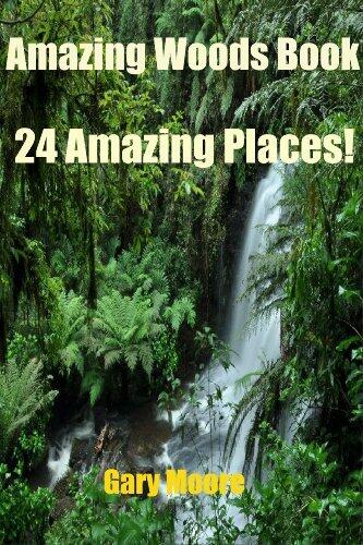 Amazing Woods Book-24 Amazing Places!