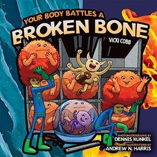 Your Body Battles a Broken Bone