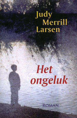 Het ongeluk