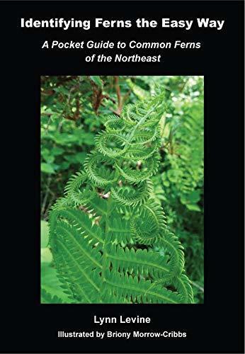 Identifying Ferns the Easy Way: A Pocket Guide to Common Ferns of the Northeast