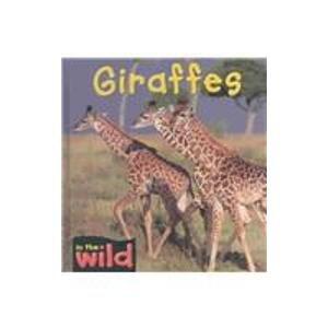 Giraffes