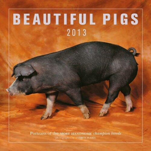 Beautiful Pigs 2013: Portraits of the Most Handsome Champion Breeds