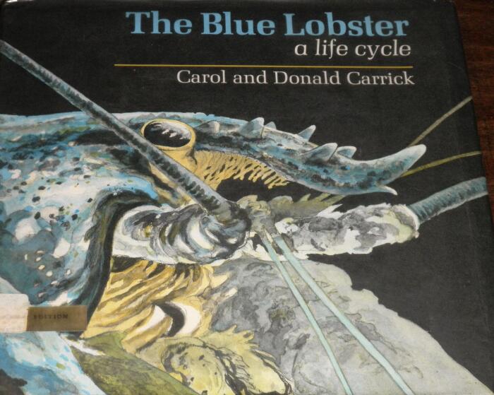 Blue Lobster