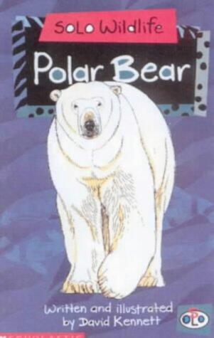 Solo Wildlife: Polar Bear