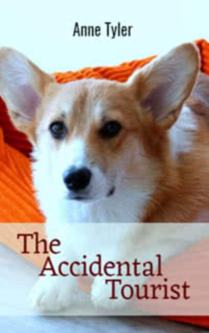 The Accidental Tourist
