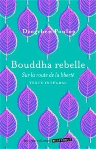 Bouddha rebelle: Sur la route de la liberté (Psychologie)