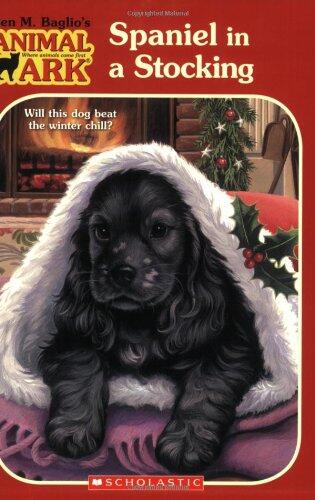 Spaniel in a Stocking