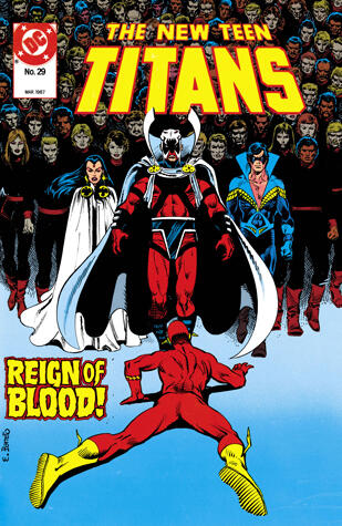 The New Teen Titans (1984-1996) #29 (The New Titans