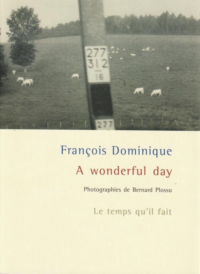 A wonderful day