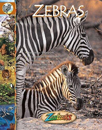 Zebras