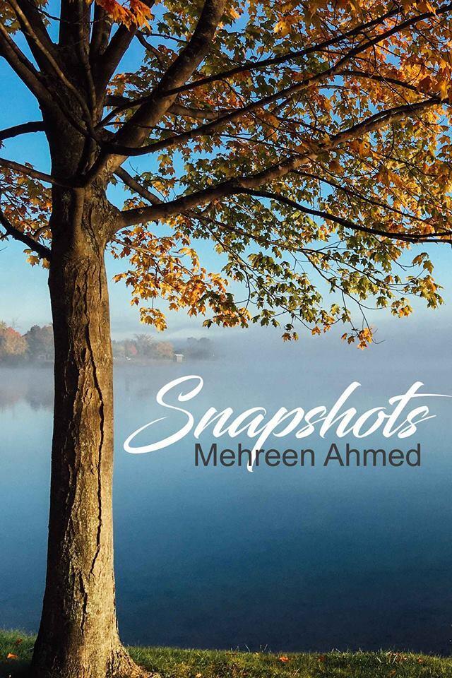 Snapshots