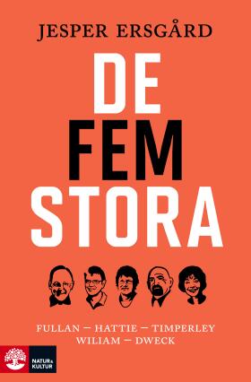De Fem Stora Inom Skolforskning
