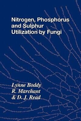 Nitrogen, Phosphorus and Sulphur Utilisation by Fungi: Symposium of the British Mycological Society Held at The University of Birmingham, April 1988 ... Society Symposia, Series Number 15)