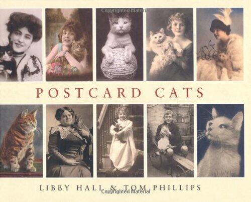 Postcard Cats