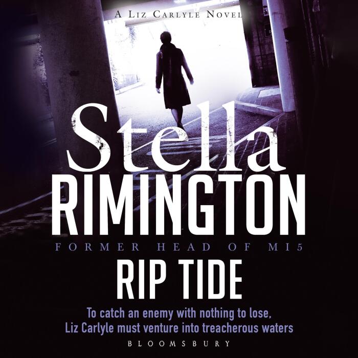 Rip Tide: Liz Carlyle, Book 6