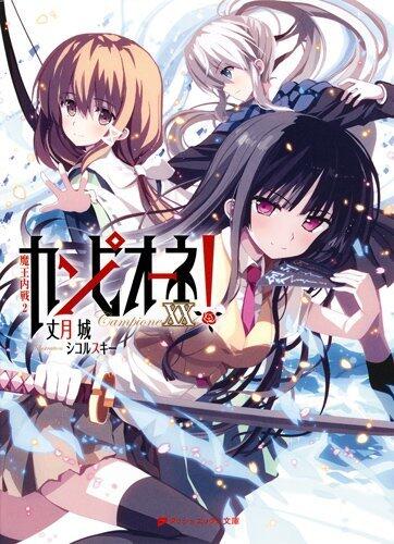 カンピオーネ! XX 魔王内戦2