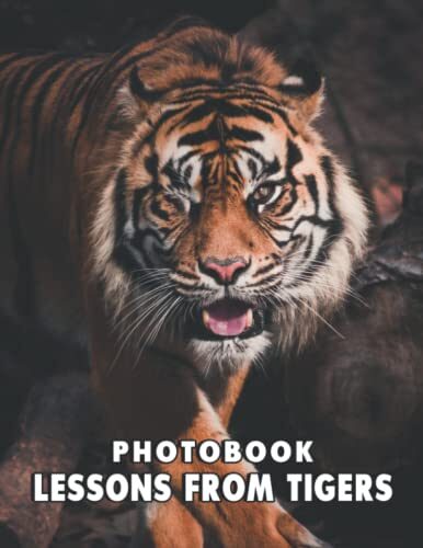 A Photo Book Of Lessons From Tigers: An Album Consist Of Compelling Photos Collection Of Lessons From Tigers With High Quality Images As A Special Gift For Friends, Family, Lovers, Relative