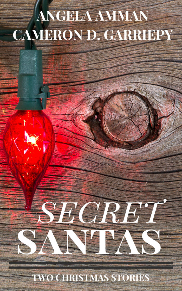 Secret Santas: Two Christmas Stories