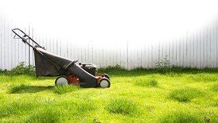 Lawn Wars