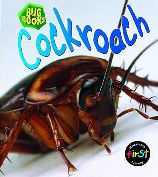 Cockroach