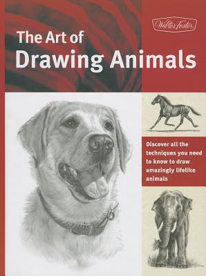 The Art of Drawing Animals
