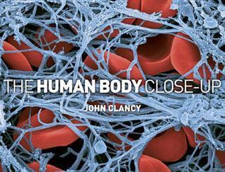 Human Body Close-Up