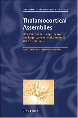 Thalamocortical Assemblies: How Ion Channels, Single Neurons and Large-Scale Networks Organize Sleep Oscillations