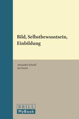 Bild, Selbstbewusstsein, Einbildung (Fichte-studien, 42)