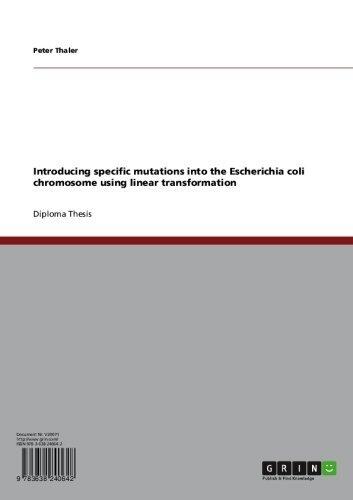 Introducing specific mutations into the Escherichia coli chromosome using linear transformation