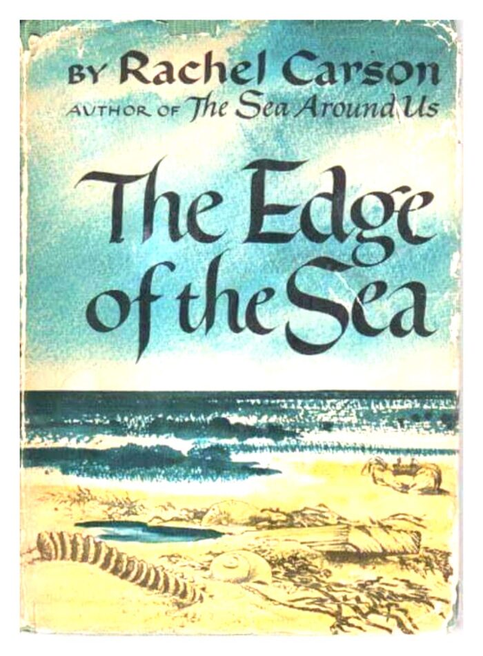 The Edge of the Sea