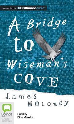 A Bridge to Wiseman's Cove