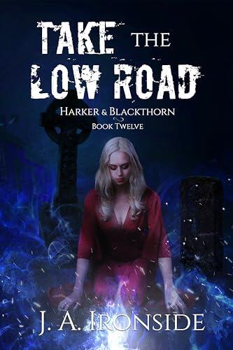 Take the Low Road: An Urban Fantasy Thriller: Harker & Blackthorn - Book Twelve