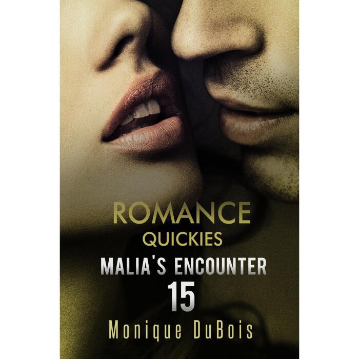 Romance Quickies: Malia's Encounter - 15