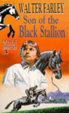 Son Of The Black Stallion