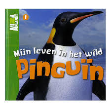 Mijn leven in het wild, pinguin
