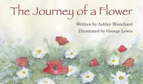 The Journey of a Flower