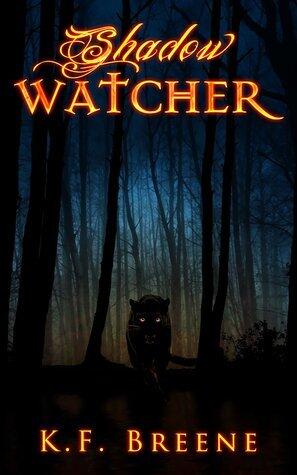 Shadow Watcher