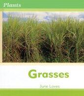 Grasses