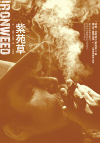 紫苑草