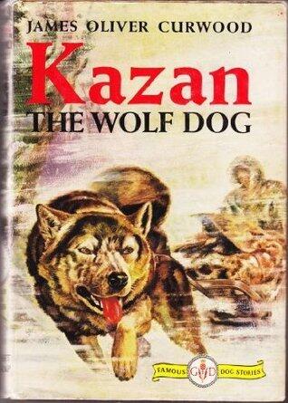 Kazan the Wolf Dog