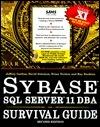 Sybase SQL Server 11 Dba Survival Guide