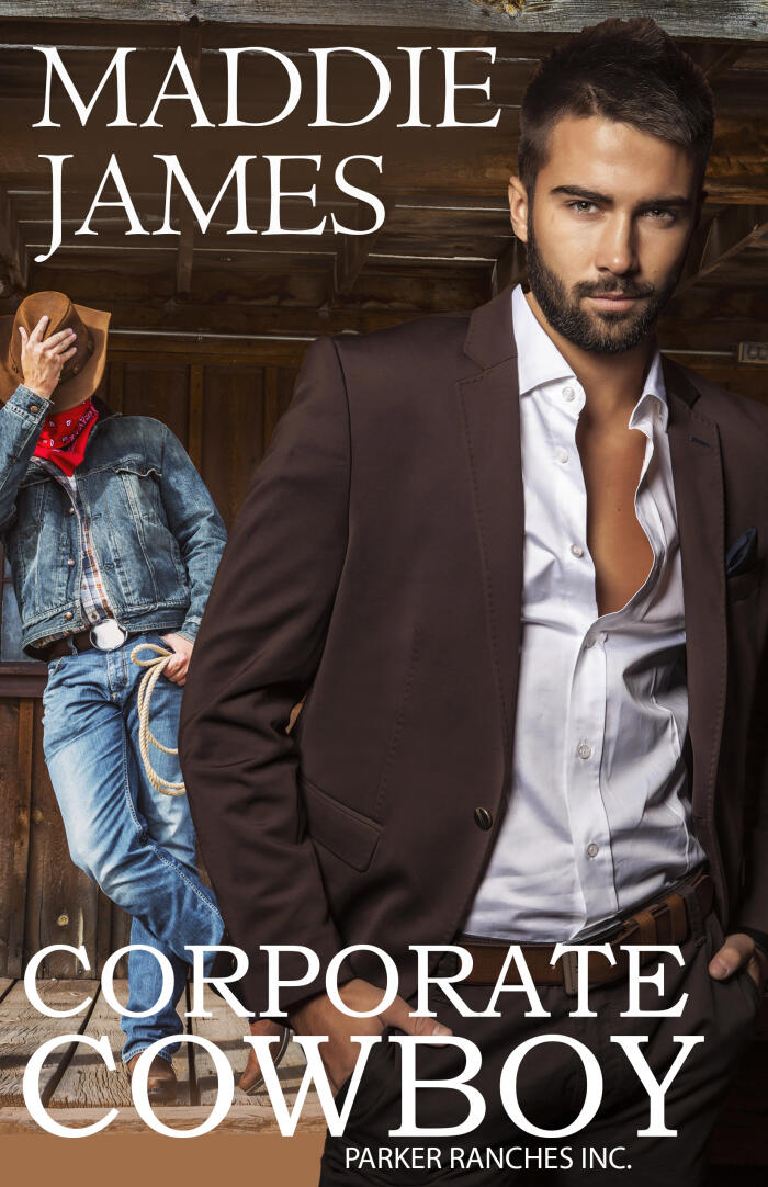Corporate Cowboy