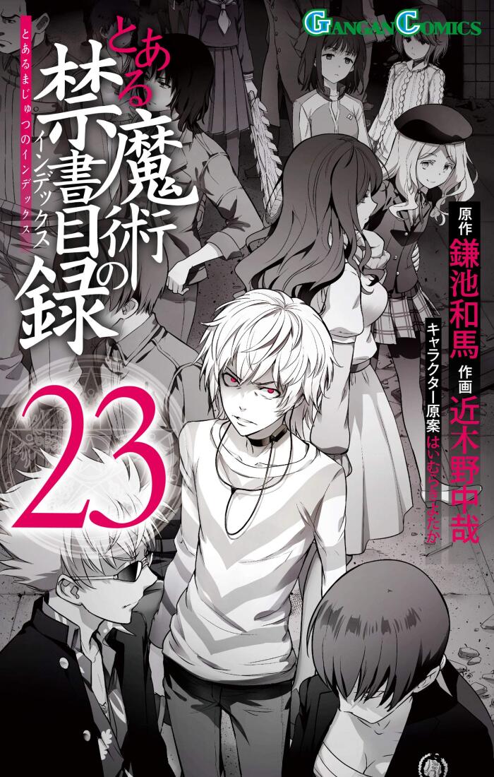 とある魔術の禁書目録 23 [Toaru Majutsu no Index 23]