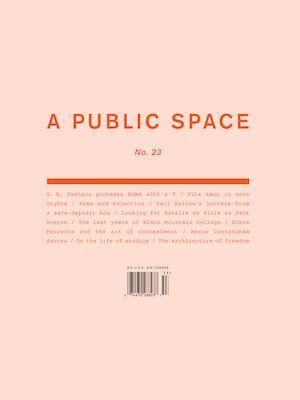 A Public Space no. 23