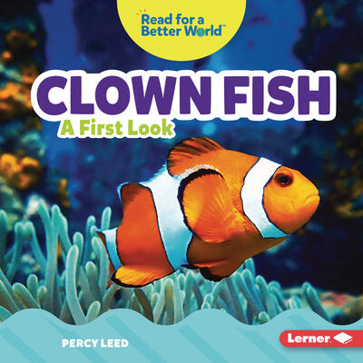 Clown Fish: A First Look (Read about Ocean Animals