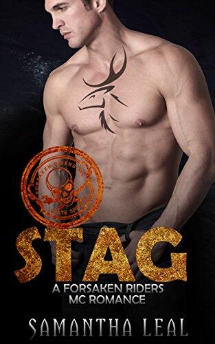STAG: Nouvelle romance motard (Forsaken Riders MC - Série Française t. 7)