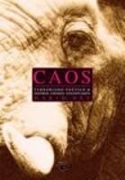 Caos: Terrorismo Poético & Outros Crimes Exemplares