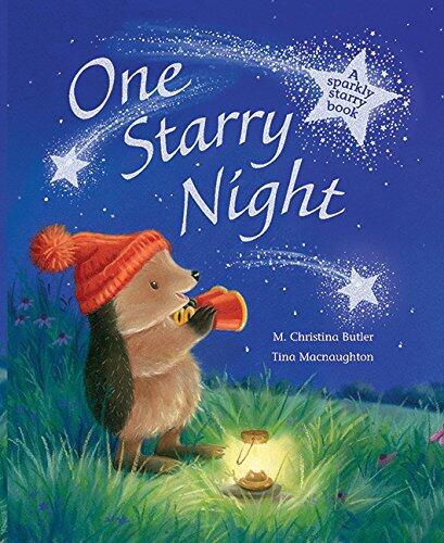 One Starry Night: A Sparkly Starry Book